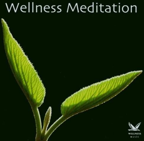 Various - Wellness Meditation - Preis vom 15.09.2026 03:21:18 h