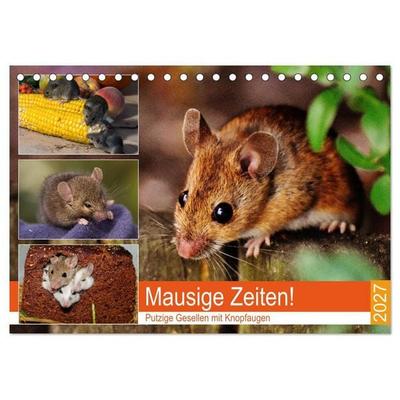 Mausige Zeiten! Putzige Gesellen mit Knopfaugen (Tischkalender 2027 DIN A5 quer), CALVENDO Monatskalender