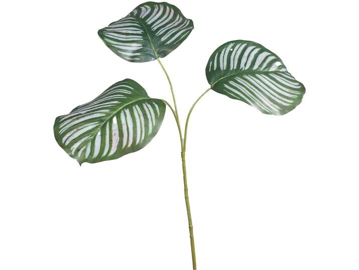 Kunstblume Calathea H93cm grün - Material: Kunststoff