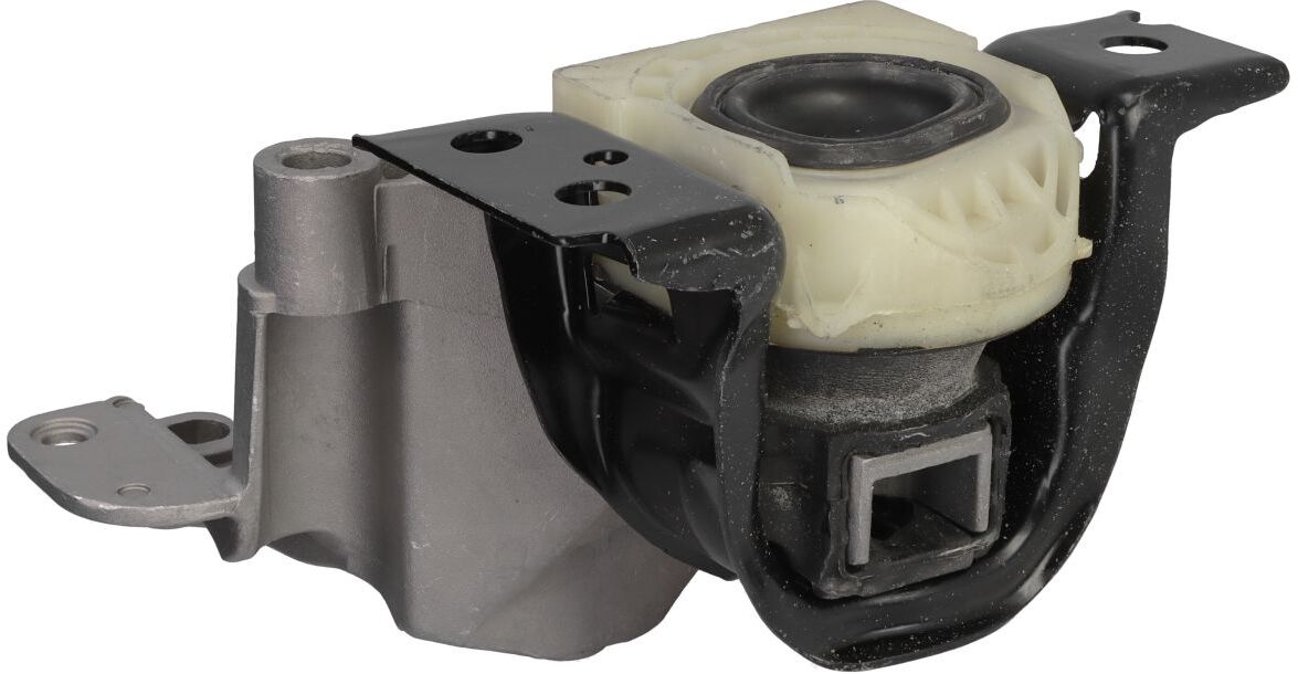 Tedgum Supporto, supporto motore TED60891