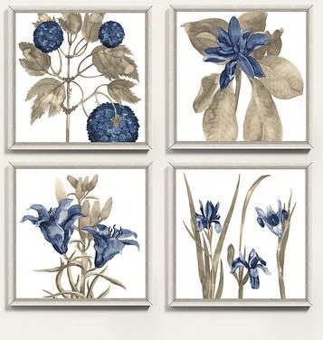 "Watercolor Buchoz Art - Print IV, 14"" x 14"" - Ballard Designs"