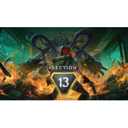 Section 13