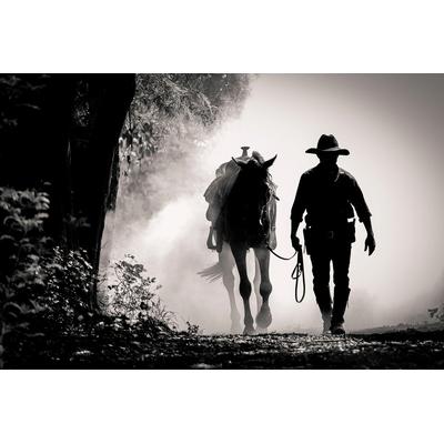 Fototapete PAPERMOON "WILDE WESTEN-PFERD TIERE PFERDE SCHWARZ WEIß WANDTAPETE", bunt, B:2m L:1,49m, Vlies, Tapeten