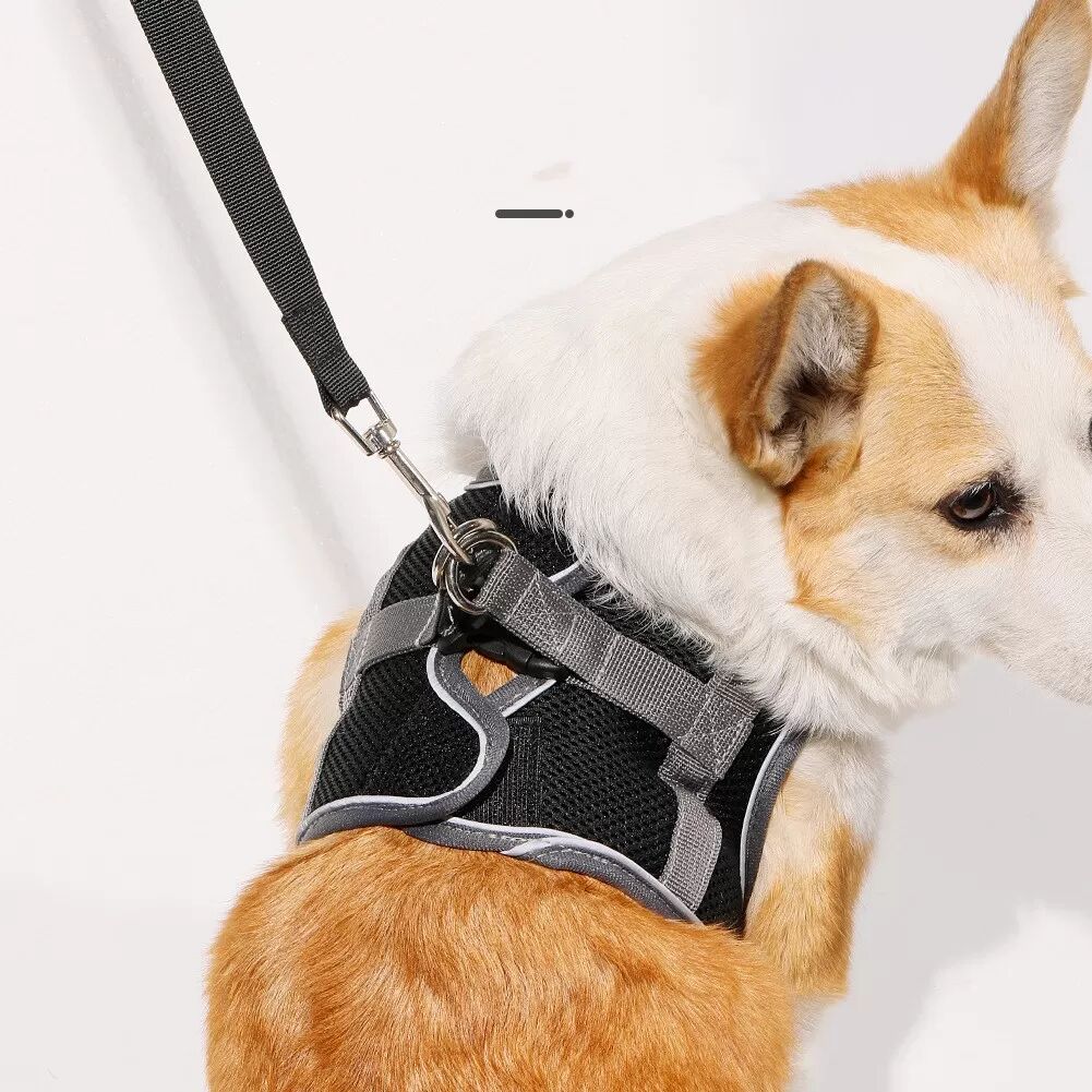 INF Atmungsaktives Hundegeschirr und Leine S