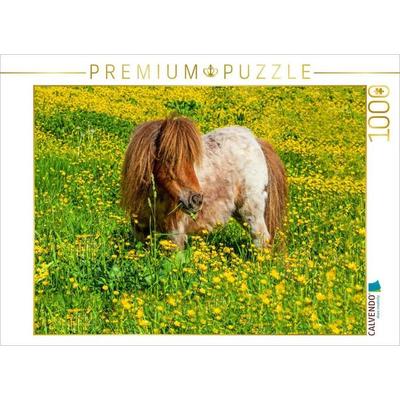 CALVENDO Puzzle Ein Pony in der Sommerwiese in Radstadt | 1000 Teile Lege-Größe 64x48cm Foto-Puzzle für glückliche Stunden