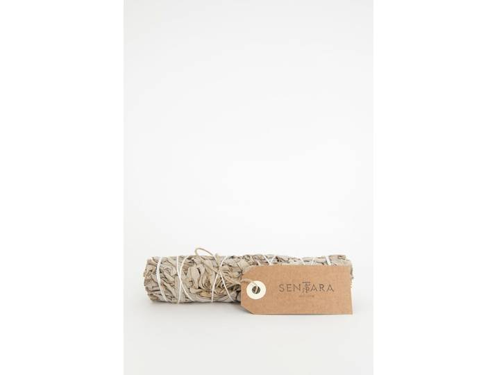 Bundel salie bladeren