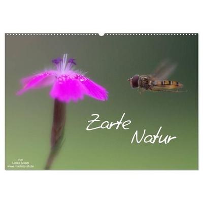 Zarte Natur 2027 (Wandkalender 2027 DIN A2 quer), CALVENDO Monatskalender