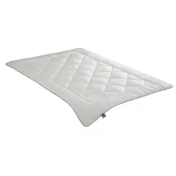 IRISETTE Mono-Steppbett  Tencel ¦ weiß ¦ Maße (cm): B: 200 H: 4