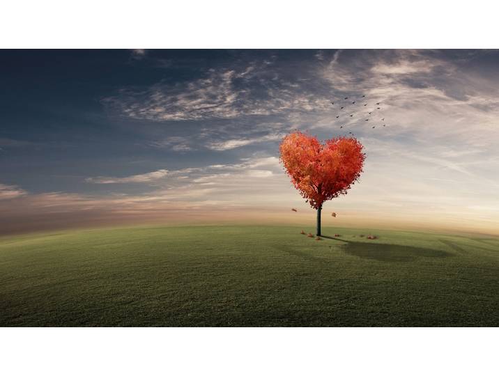 Papermoon KONZEPT SURREAL-FANTASIE KONZEPT BAUM HERZ WIESE SONNE