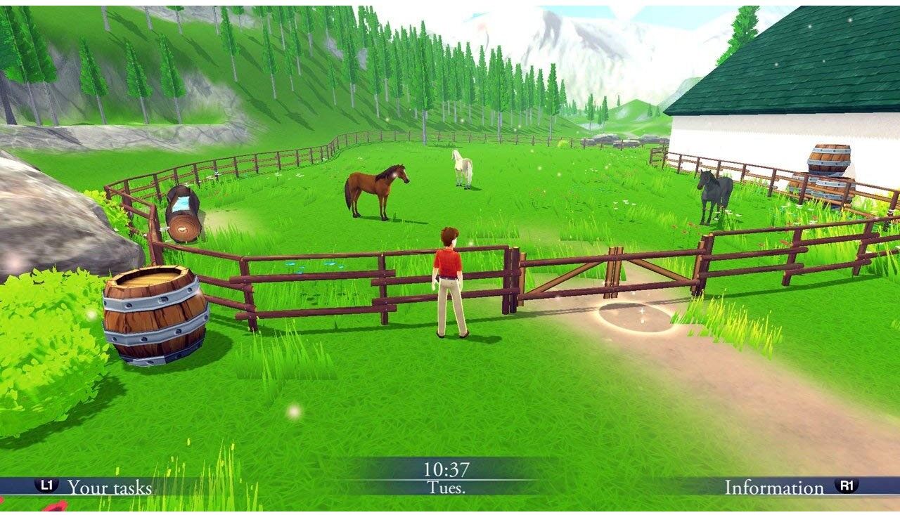 Funbox Media My Riding Stables: Life with Horses for PlayStation 4 (Disc) - Build Your Dream Riding School, Care for Horses, Ages 3+, PlayStation 4 Game