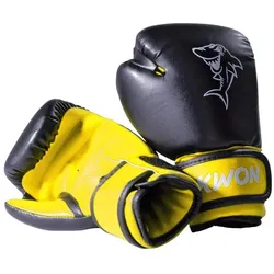 Kwon, Boxhandschuhe