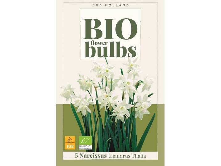 Bio narcis triandrus thalia 5 bollen