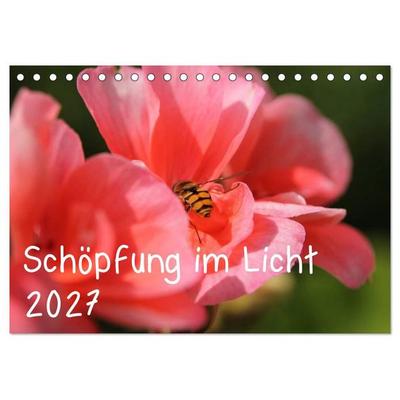 Schöpfung im Licht (Tischkalender 2027 DIN A5 quer), CALVENDO Monatskalender