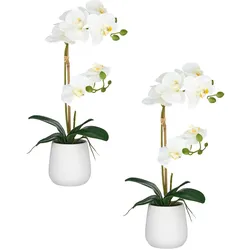 CREATIV green künstliche Pflanze Orchidee im Keramiktopf, 50cm, weiß, Real Touch, im 2er Set