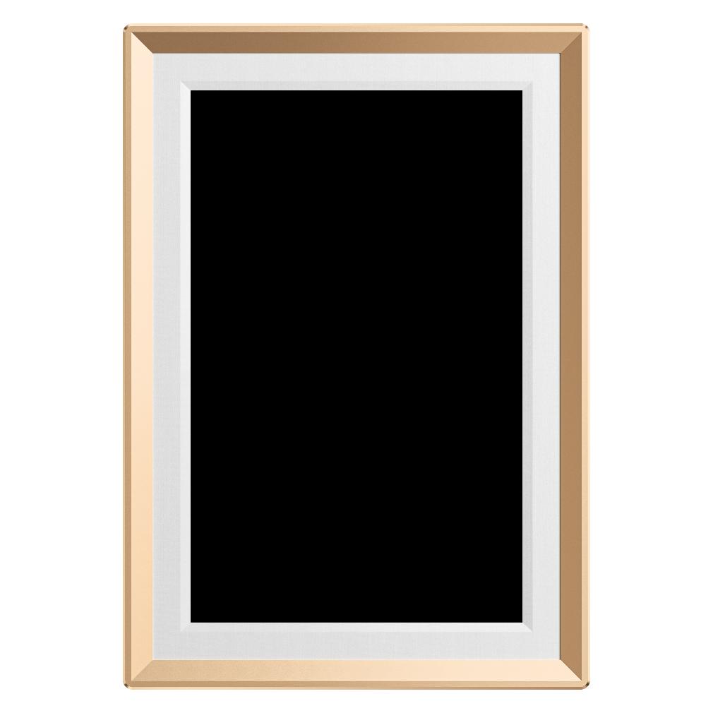 BlockX Digital Photo Frame 10.1", 32GB, WiFi, D10 Gold (10.10", 1280 x 800 Pixel) (D10 Gold)