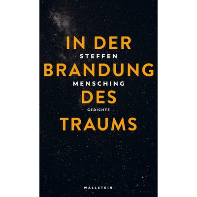 In der Brandung des Traums, Gebundene Ausgabe von Steffen Mensching, Wallstein Verlag, 978-3-8353-3938-5