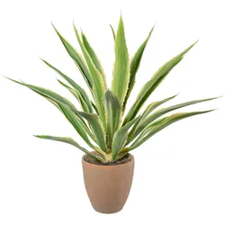 Kunstpflanze Agave (LBH 85x85x85 cm) - grün - LBH 85x85x85 cm