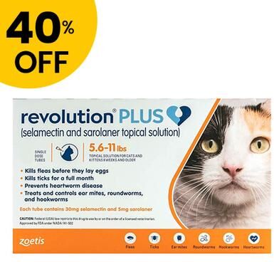 Revolution Plus For Medium Cats 5.5-11lbs (2.5-5kg) Orange 6 Pack