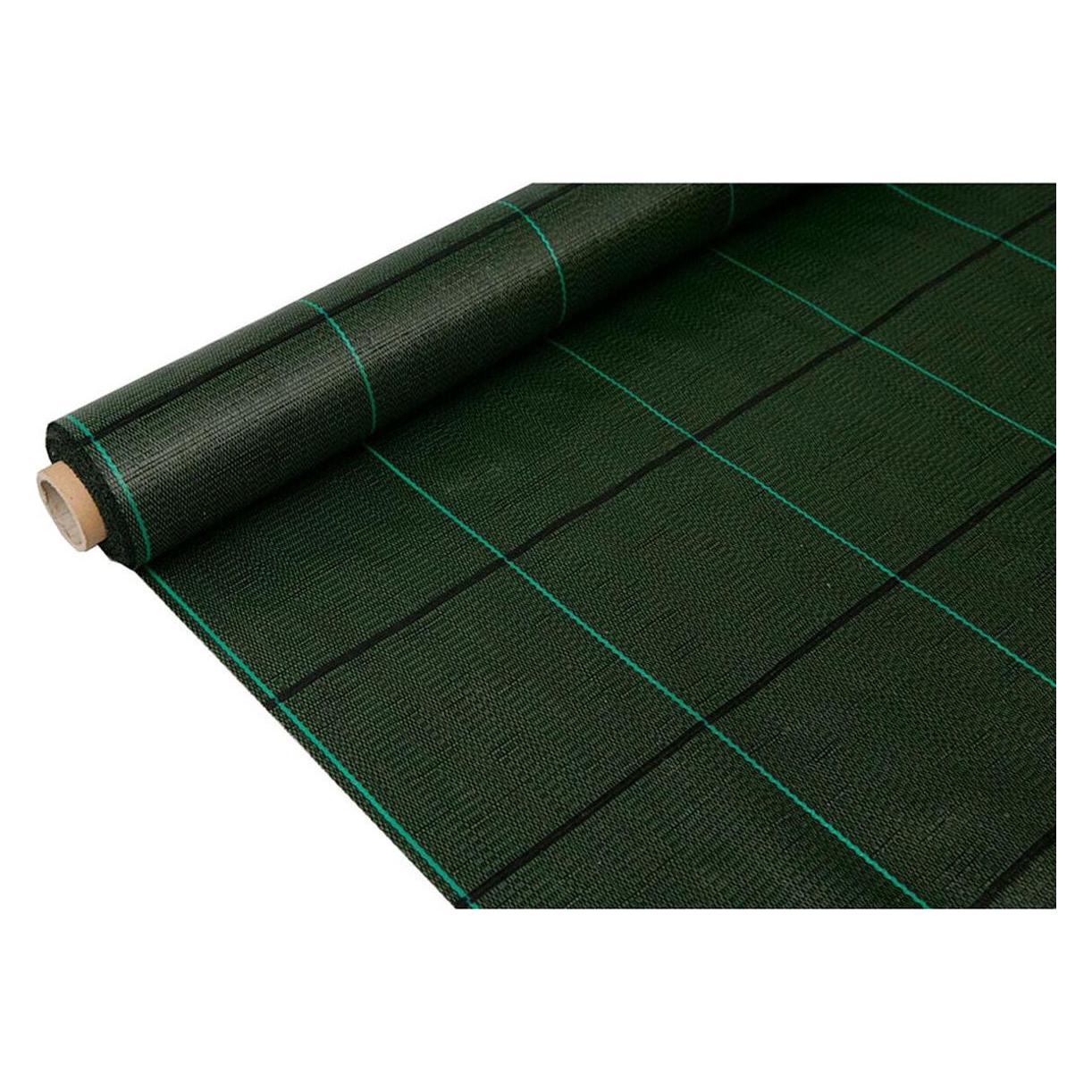 Faura Anti-grass mesh 100g/m² green 1 x 10 m (57274208)