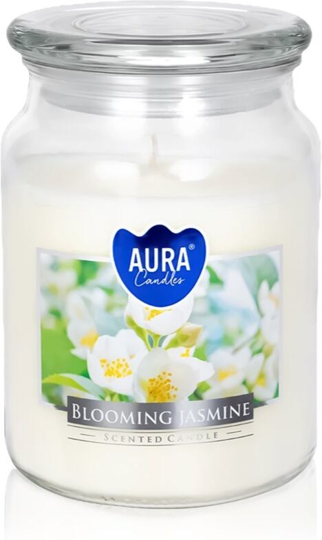 BISPOL Premium Line Blooming Jasmine scented candle 500 g