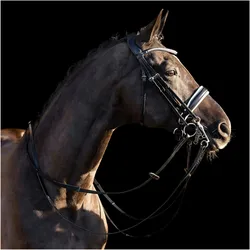 HV Polo, Zaumzeug