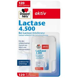DOPPELHERZ Lactase 4.500 Tabletten 120 St