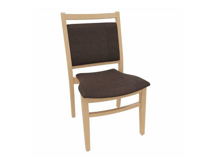 einrichtungsdesign24 Esszimmerstuhl André ohne Armlehnen – Ideal für Senioren im Pflegeheim oder Zuhause, Seniorenstuhl, Pflegestuhl