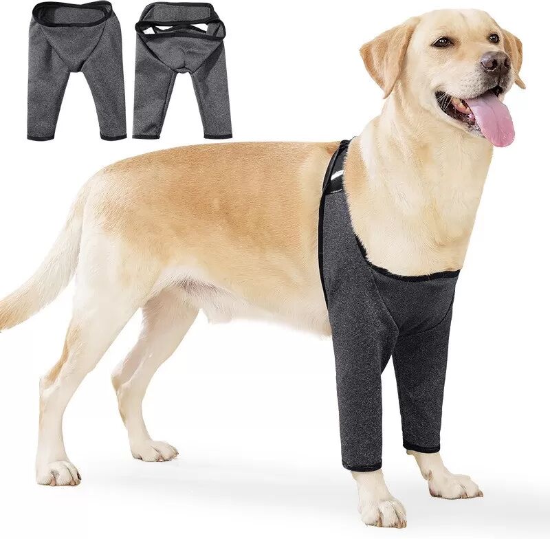 INF Hunde Doppelbein Gelenkschutz - Hinterbeinbandage zur Genesung & Arthritis-Unterstützung M