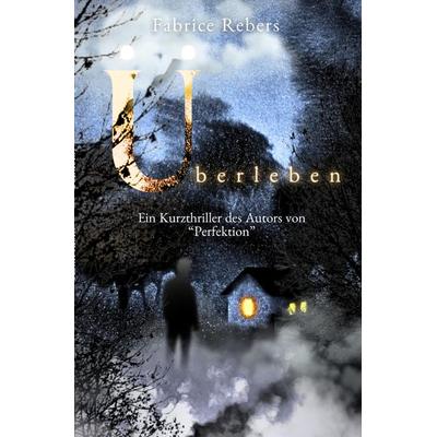 Überleben, Taschenbuch von Fabrice Rebers, Tredition, 978-3-384-17102-3