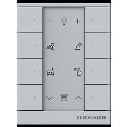 Busch-Jaeger 2CKA006220A0880 1 St.