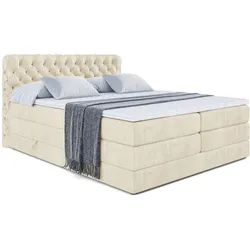 BOXSPRINGBETT BOXI8 KING - 120x200 - H3/H4 - Beige