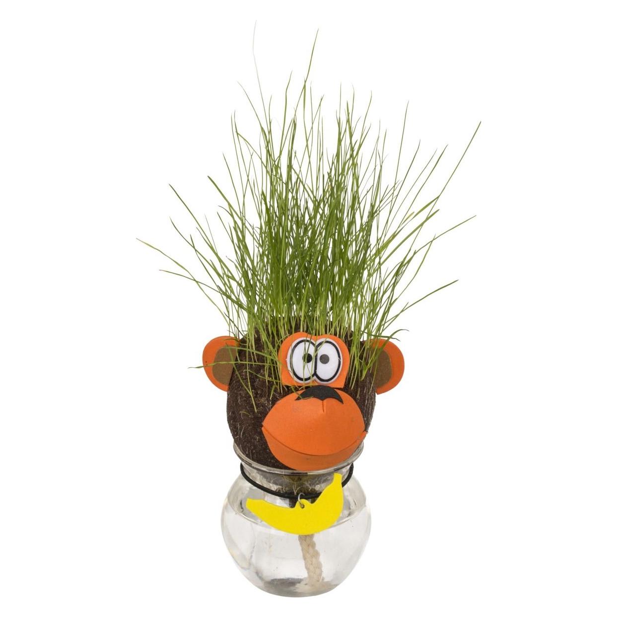 Magni Graskopf Figuren Tiere 5fach sortiert (33648082)