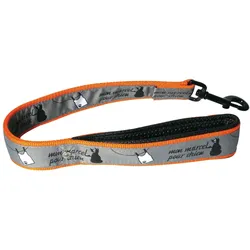 Martin Sellier Marcel (XL, Hund, Spazieren), Halsband + Leine