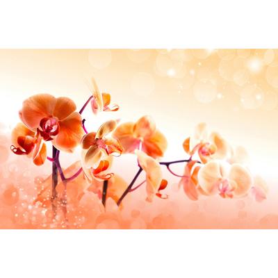 Fototapete PAPERMOON "Blumen", bunt, B:3m L:2,23m, Vlies, Tapeten