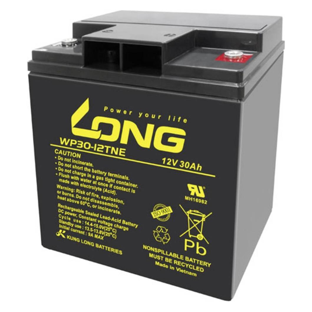 Long WP30-12TNE WP30-12TNE Bleiakku 12V 30Ah Blei-Vlies (AGM) (B x H x T) 166 x 176 x 125mm M6-Schr (1 Stk.) (WP30-12TNE)