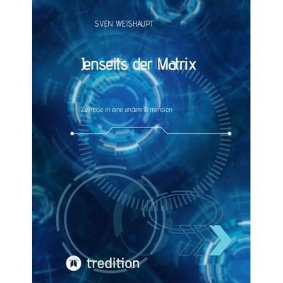 Jenseits der Matrix/Synchronizität/Morphogenetisches Feld/Bewusstseinsforschung/Urfeld-Theorie/Neues Zeitalter/Lichtkörperprozess, Taschenbuch von
