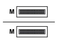HPE Aruba - 40GBase-AOC Direktanschlusskabel - QSFP+ (M) (R0Z24A)
