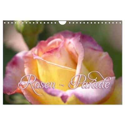 Rosen - Parade (Wandkalender 2027 DIN A4 quer), CALVENDO Monatskalender