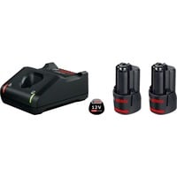PRO Starter-Set 12V (2x GBA 12V 3.0Ah + GAL 12V-40 Professional) schwarz, 2x Akku + Ladegerät
