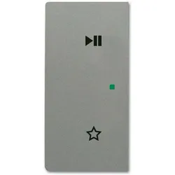 Busch-Jaeger Wippe Sensor grau metallic 6237-21-803 diverse Symbole für Bussystem