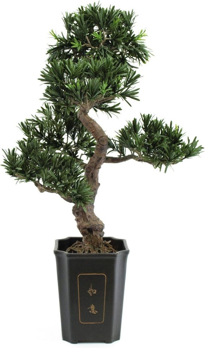 Kunstmatige Podocarpus Bonsai Boom in Pot, 80 cm