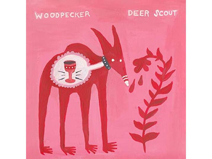 Woodpecker