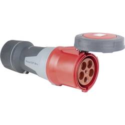 AS Schwabe 61429 CEE Kupplung 125 A 400 V 1 St.