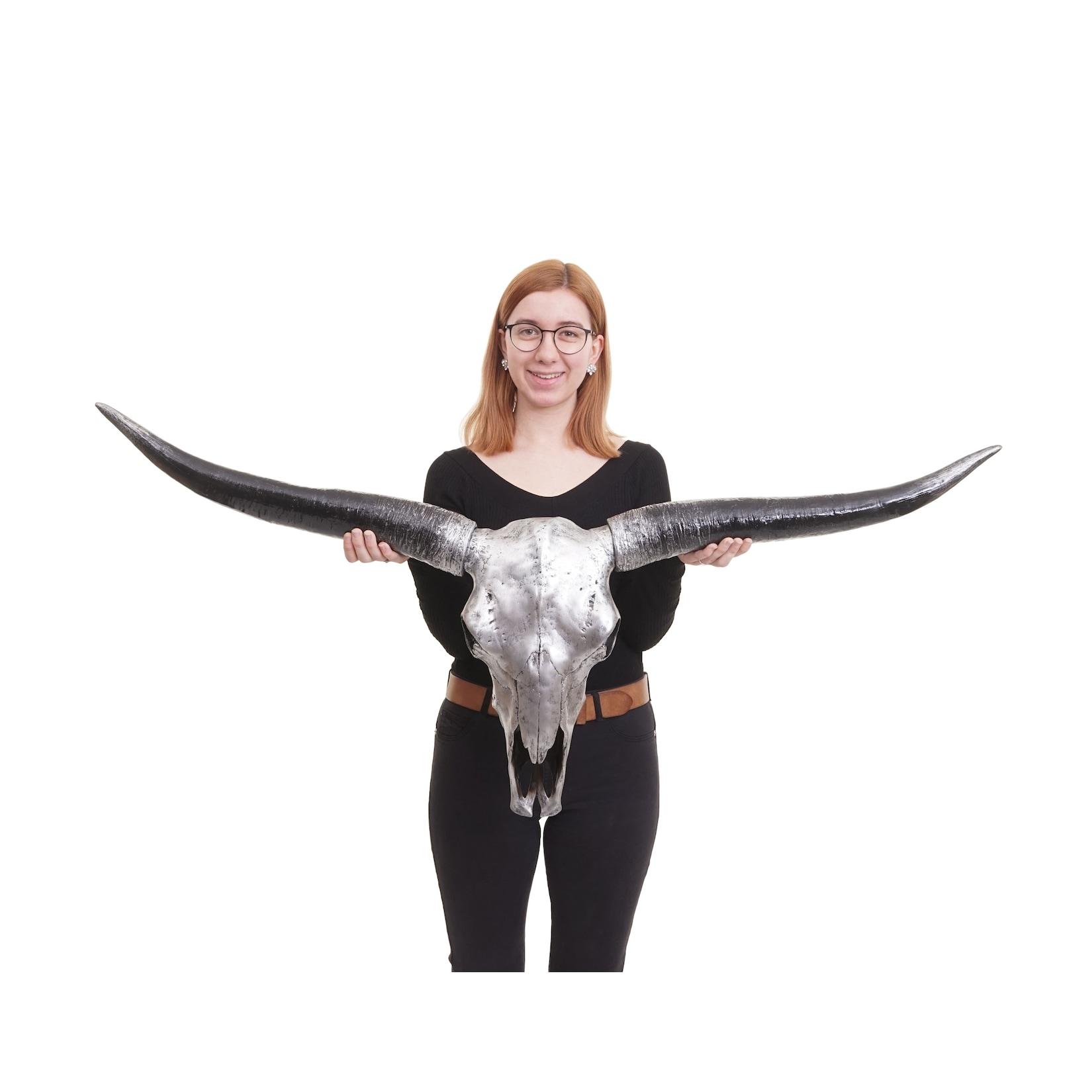 Deko Schädel 132cm MCW-A14, Polyresin Stier Bulle Longhorn Kopf Trophäe, In-/Outdoor ~ silberfarben