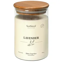 Wiedemann Kerzen Duftkerze im Glas "Lavender" 345g, 1 Stück