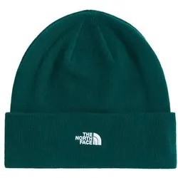 THE NORTH FACE Herren Mützen/Sturmhauben He/Uni NORM BEANIE, Größe ONE SIZE in Grün Grün