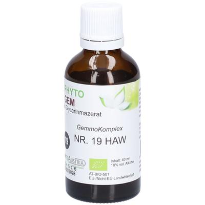 Phytogem NR 19 Harnwege 40 ml Tropfen zum Einnehmen