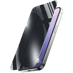 Datenschutz-Bildschirmschutz gehärtetes Glas für  Apple iPhone SE (2025) Tropfsicher, Schlagfest, Kratzresistent, Schockresistent Xtreme Glass Privacy