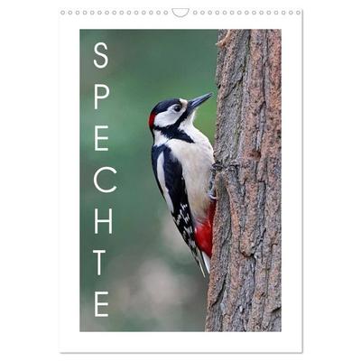 Spechte (Wandkalender 2027 DIN A3 hoch), CALVENDO Monatskalender