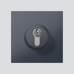 Siedle Schloss-Modul anthrazitgrau SM 611-01 AG